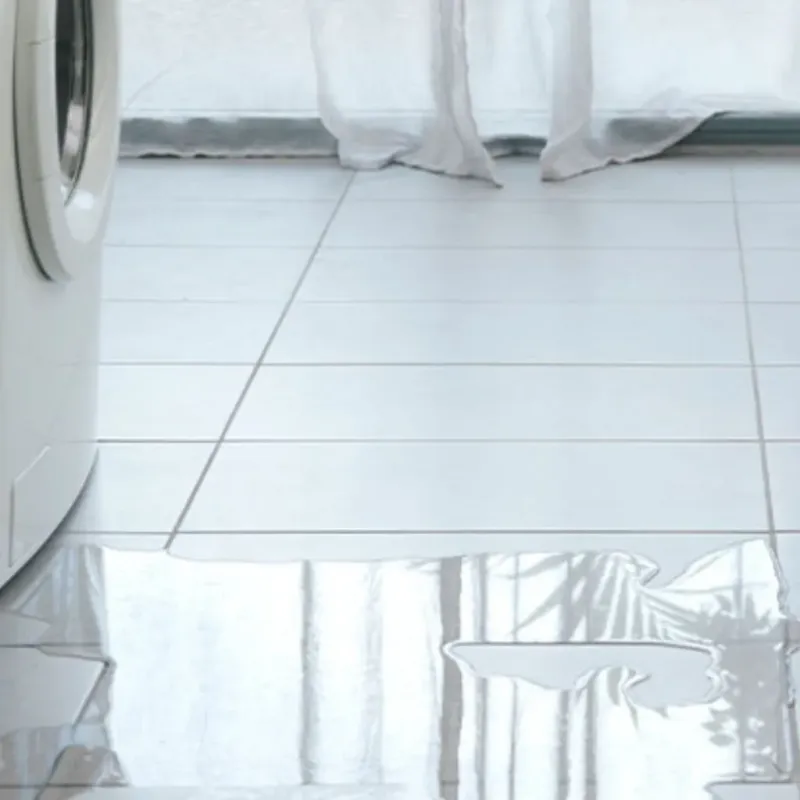Appliance Leak Cleanup in Albertville, AL